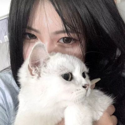 尊圣传奇变态版下载