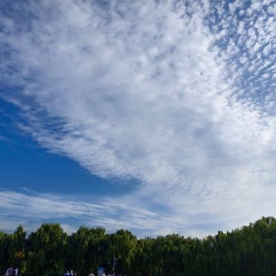 圣光守护官方(暂未上线)v1.3.0 安卓版